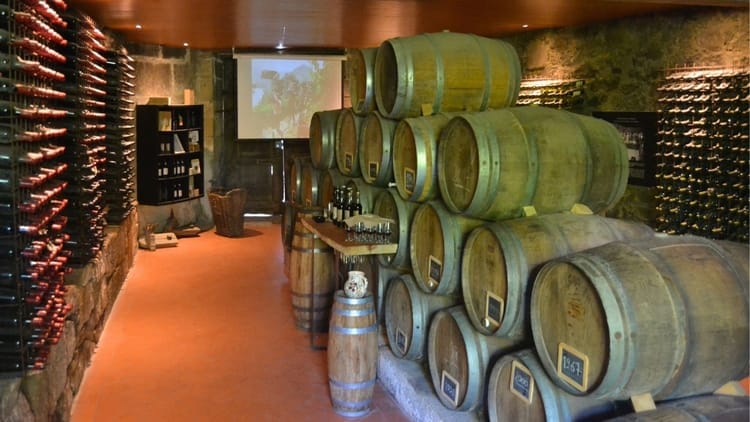 Tour a Três Quintas no Vale do Douro