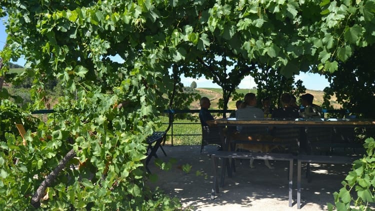 Tour a Três Quintas no Vale do Douro