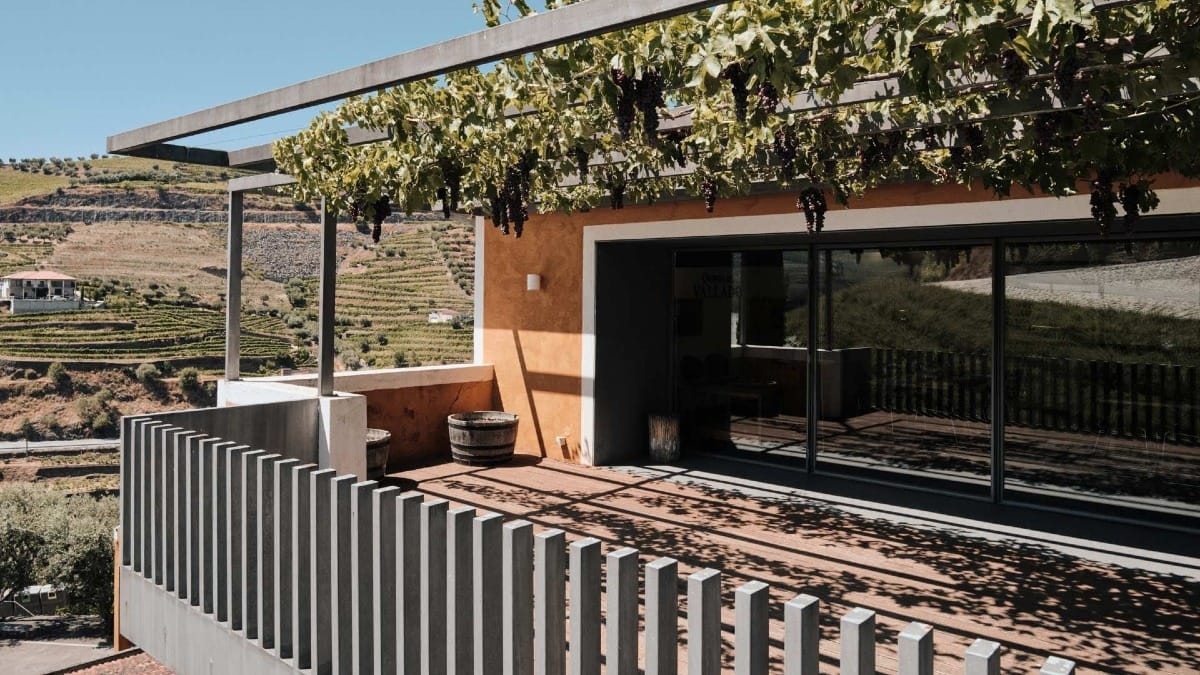 Prova de vinhos na Quinta do Vallado, Vale do Douro – Visita à adega e provas premium