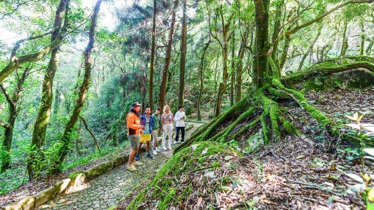 Excursão de bicicleta elétrica de Lisboa a Sintra: palácios, trilhos florestais e miradouros panorâmicos