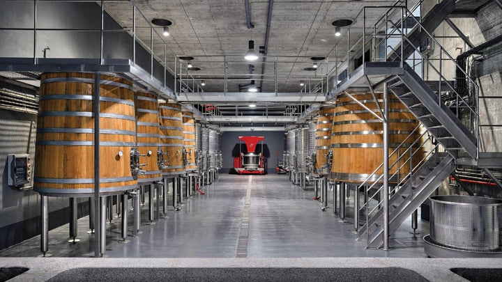 Caminhada com Prova de Vinhos e Almoço em Ervedosa no Vale do Douro