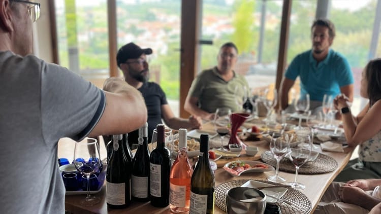 Tour privada ao Vale do Douro para apreciadores de vinho