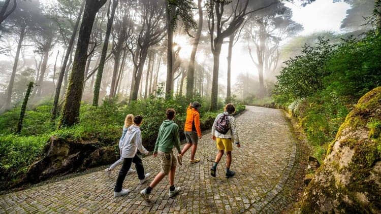 Excursão de bicicleta elétrica de Lisboa a Sintra: palácios, trilhos florestais e miradouros panorâmicos