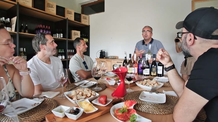 Tour privada ao Vale do Douro para apreciadores de vinho