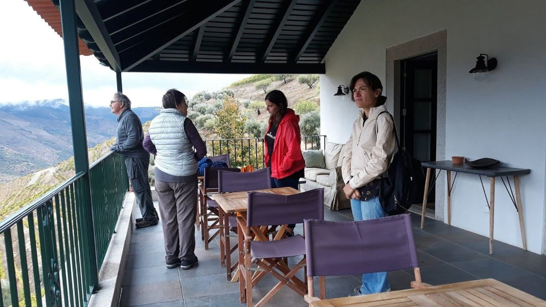 Caminhada com Prova de Vinhos e Almoço em Ervedosa no Vale do Douro
