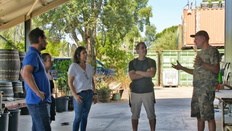 Tour privada ao Vale do Douro para apreciadores de vinho