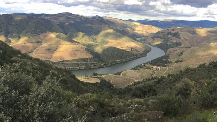 Caminhada com Almoço Piquenique no Vale do Douro: desde o Pinhão