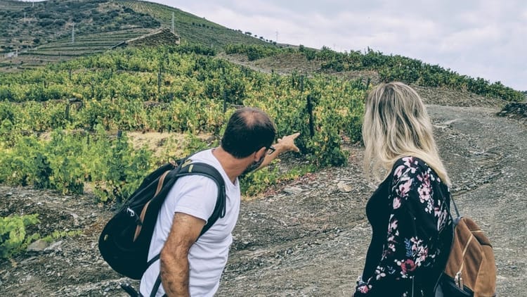 Caminhada e Almoço Piquenique em Ervedosa no Vale do Douro