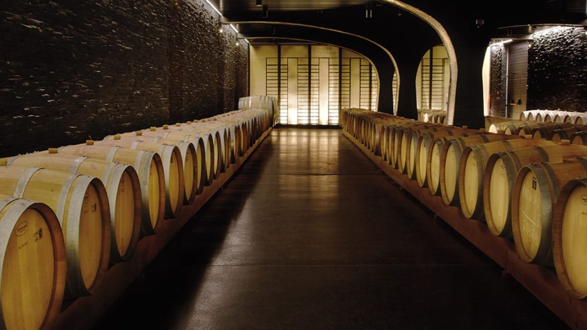 Caminhada com Prova de Vinhos e Almoço em Ervedosa no Vale do Douro