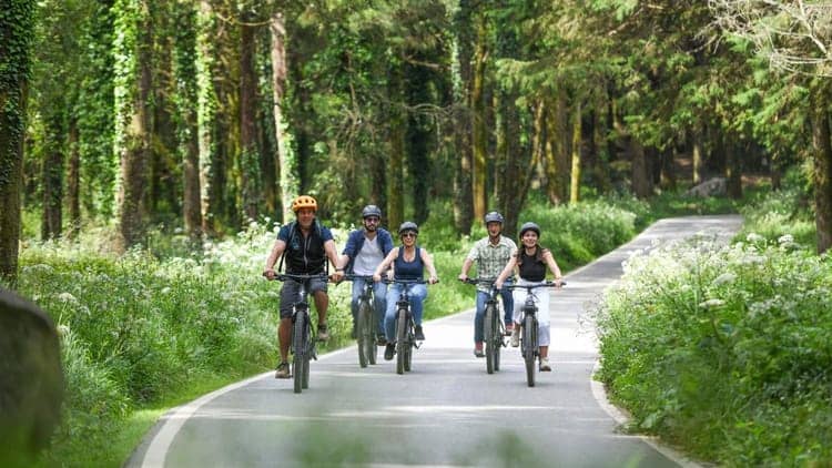 Excursão de bicicleta elétrica de Lisboa a Sintra: palácios, trilhos florestais e miradouros panorâmicos
