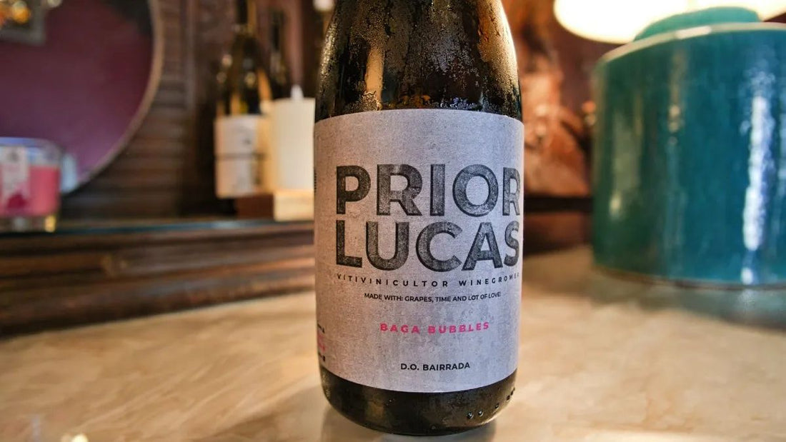 Tour de Vinho e Fado ao Vivo no Porto