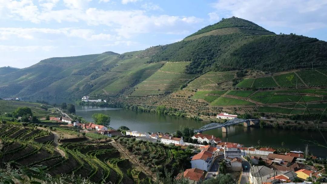 Tour ao Vale do Douro a partir do Porto