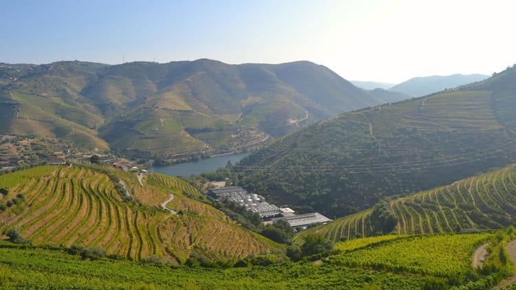 Tour a Três Quintas no Vale do Douro