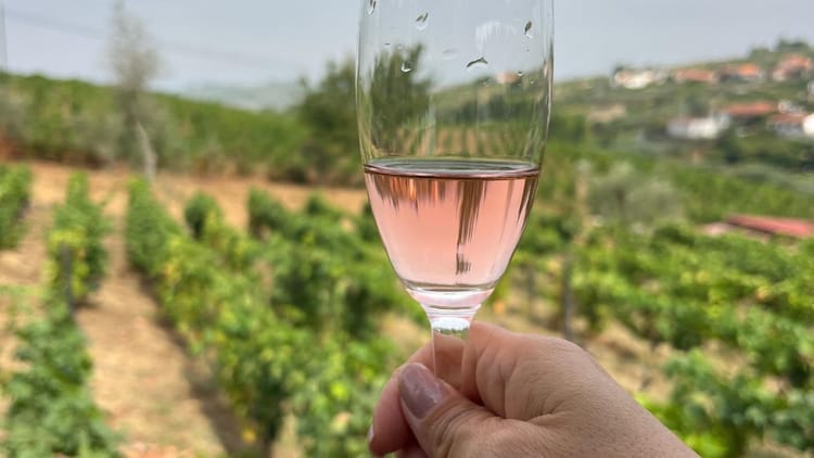 Tour privada ao Vale do Douro para apreciadores de vinho