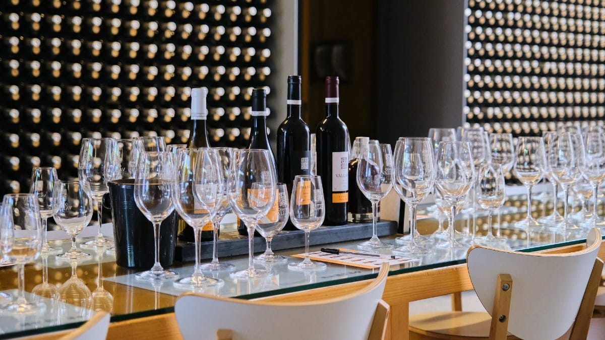 Prova de vinhos na Quinta do Vallado, Vale do Douro – Visita à adega e provas premium