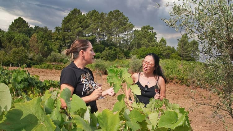 Tour privada ao Vale do Douro para apreciadores de vinho