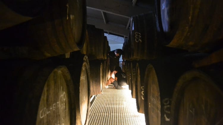 Tour a Três Quintas no Vale do Douro