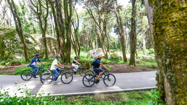 Excursão de bicicleta elétrica de Lisboa a Sintra: palácios, trilhos florestais e miradouros panorâmicos