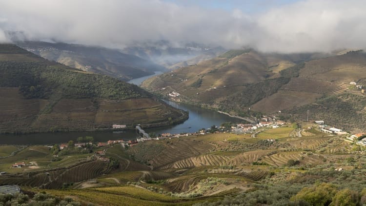 Caminhada entre Aldeias com Almoço Piquenique: desde o Pinhão