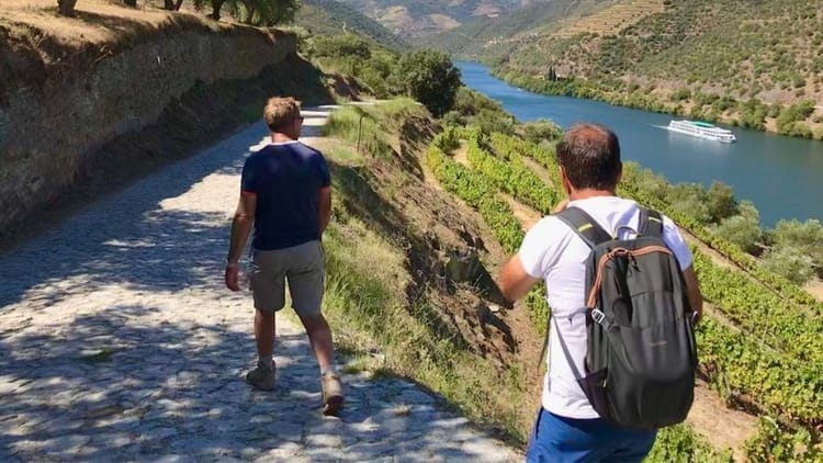 Caminhada entre Aldeias com Almoço Piquenique: desde o Pinhão