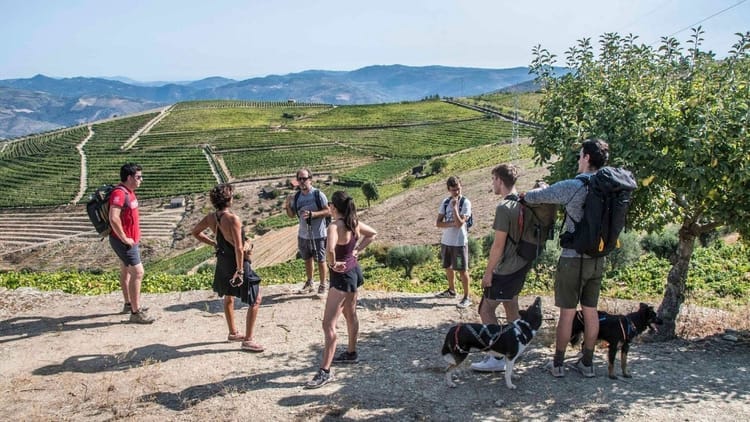Caminhada com Almoço Piquenique no Vale do Douro: desde o Pinhão