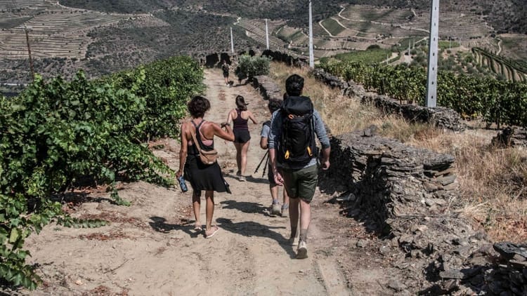Caminhada e Almoço Piquenique em Ervedosa no Vale do Douro
