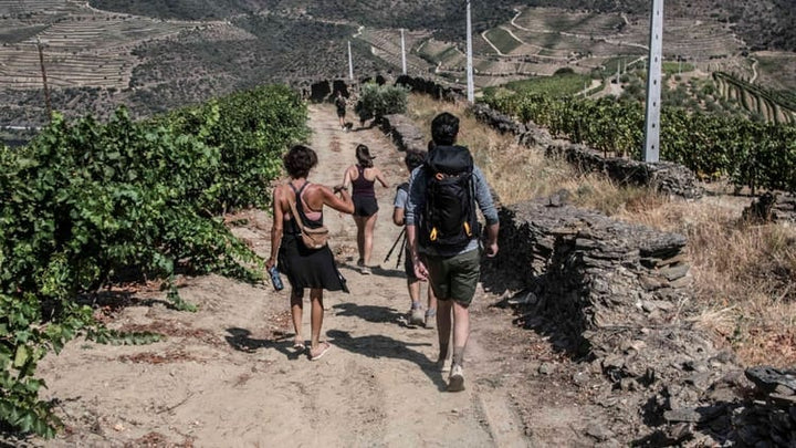 Caminhada e Almoço Piquenique em Ervedosa no Vale do Douro