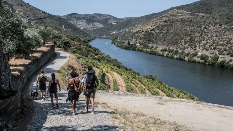 Caminhada entre Aldeias com Almoço Piquenique: desde o Pinhão
