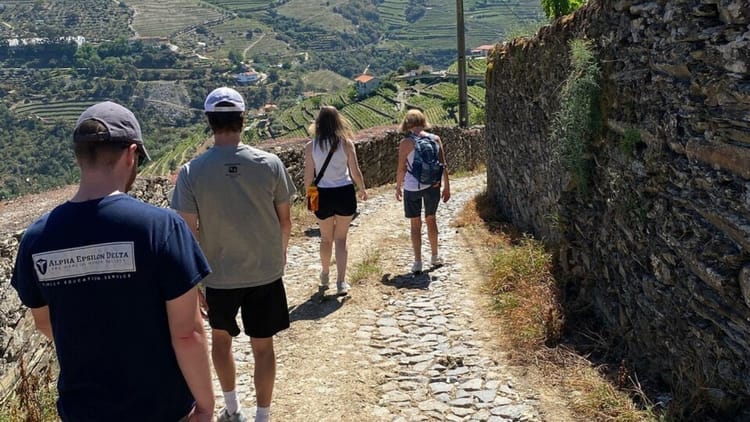 Caminhada entre Aldeias com Almoço Piquenique: desde o Pinhão