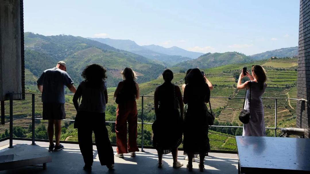 Tour ao Vale do Douro a partir do Porto