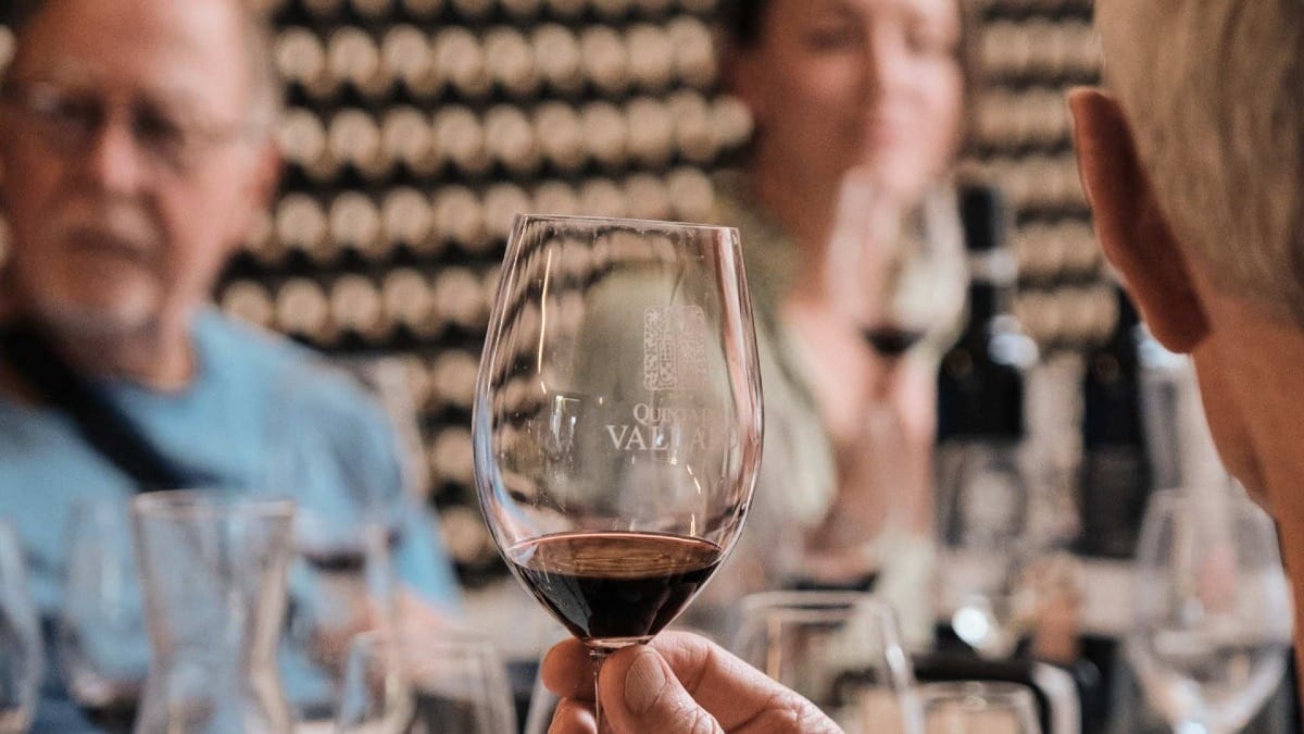Prova de vinhos na Quinta do Vallado, Vale do Douro – Visita à adega e provas premium