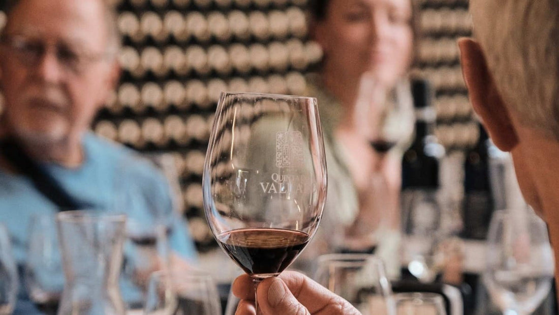 Prova de vinhos na Quinta do Vallado, Vale do Douro – Visita à adega e provas premium