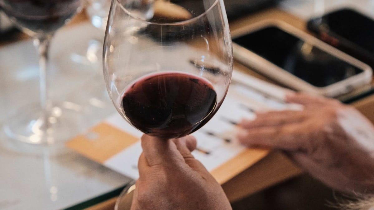 Prova de vinhos na Quinta do Vallado, Vale do Douro – Visita à adega e provas premium