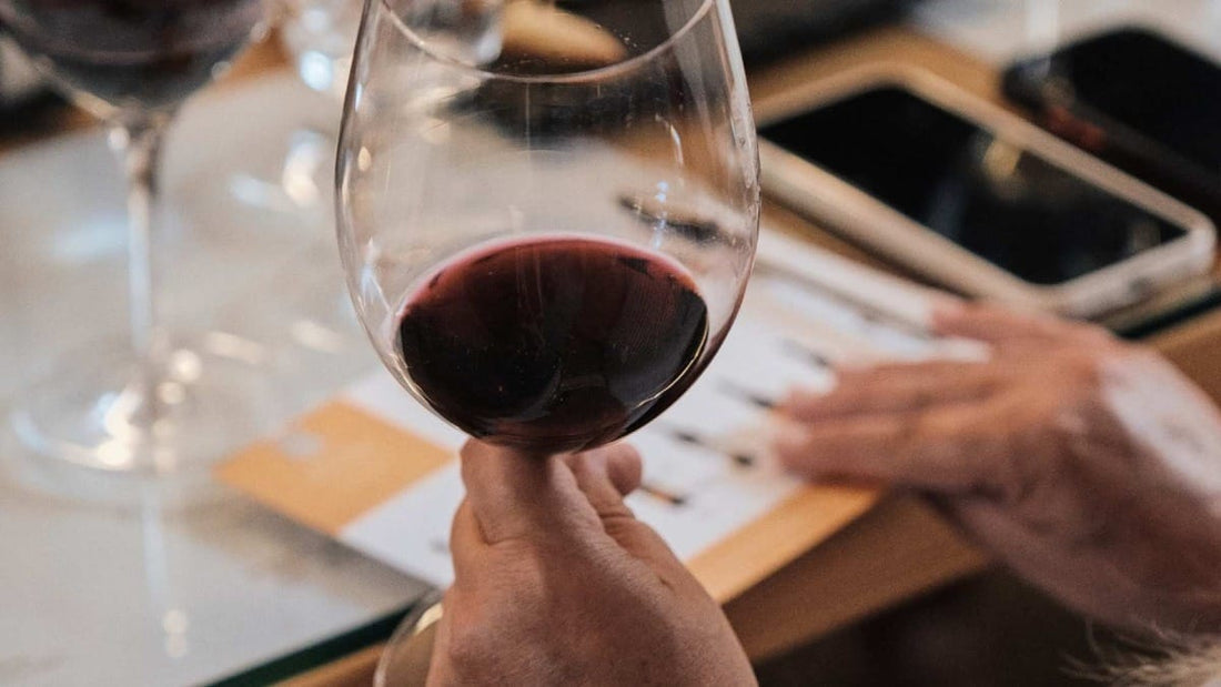 Prova de vinhos na Quinta do Vallado, Vale do Douro – Visita à adega e provas premium