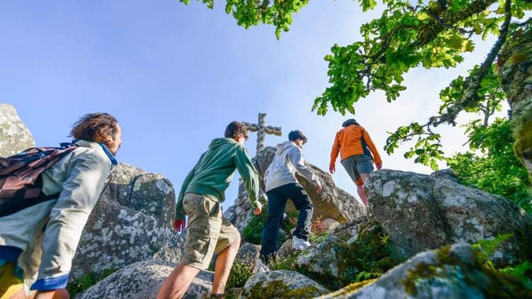 Excursão de bicicleta elétrica de Lisboa a Sintra: palácios, trilhos florestais e miradouros panorâmicos