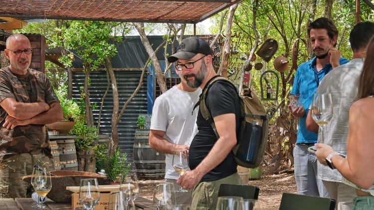 Tour privada ao Vale do Douro para apreciadores de vinho