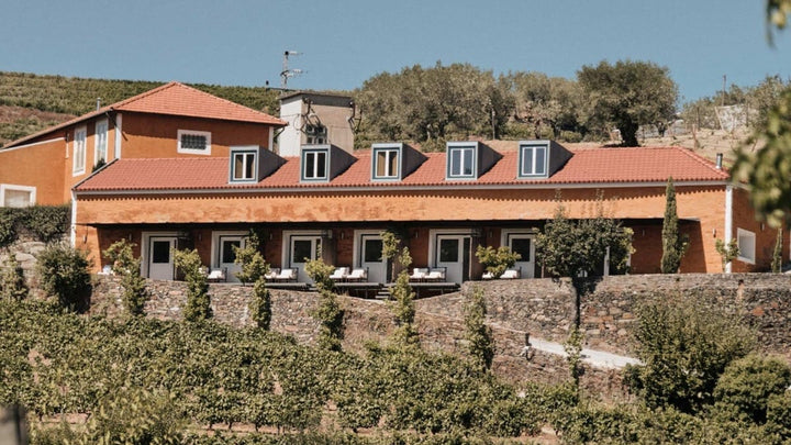 Prova de vinhos na Quinta do Vallado, Vale do Douro – Visita à adega e provas premium
