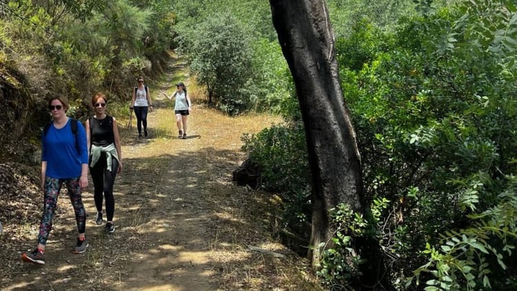 Caminhada com Almoço Piquenique no Vale do Douro: desde o Pinhão