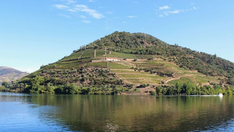 Tour a Três Quintas no Vale do Douro