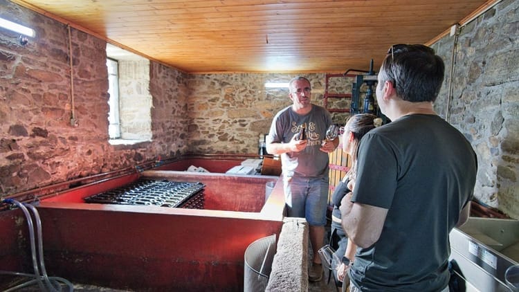 Tour privada ao Vale do Douro para apreciadores de vinho