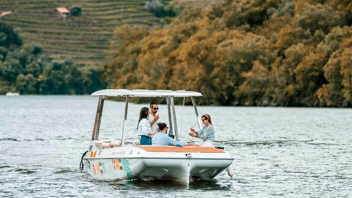 Passeio de Barco Solar do Douro com Prova de Vinhos